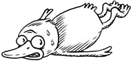 Poot.